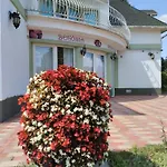 Begonia Vendeghaz *