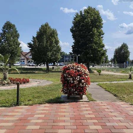 Motel Begonia Vendeghaz Szigetszentmiklós