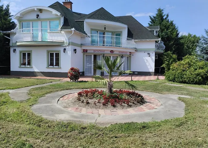 Begonia Vendeghaz *